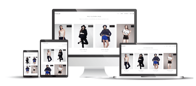 Responsive Web Design for eCommerce